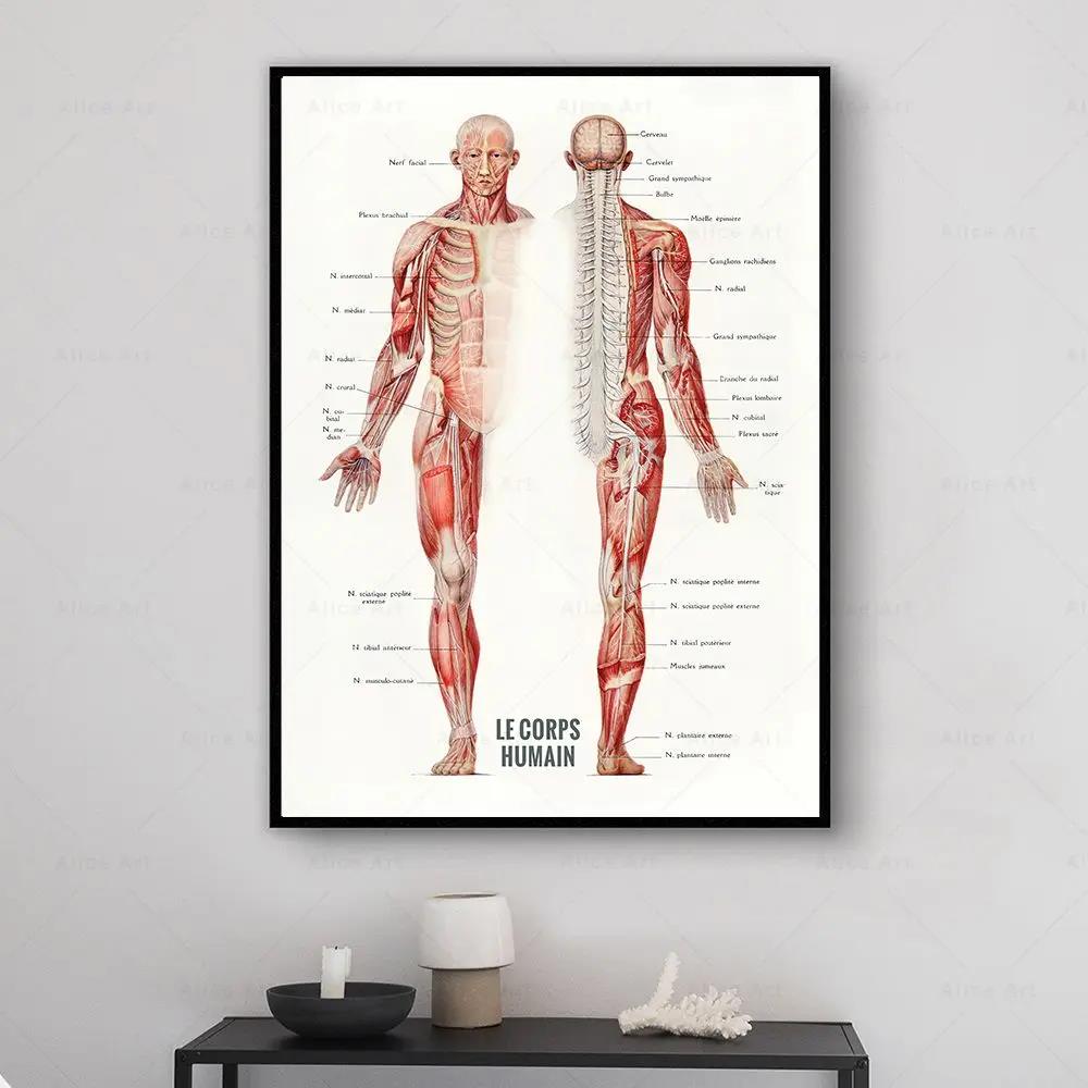 Póster impreso en lienzo de an - Badminton Poster reseña y precio