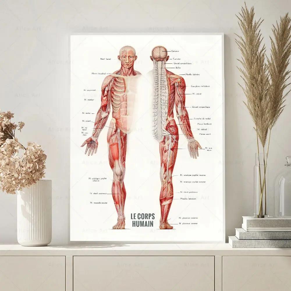 Póster impreso en lienzo de an - Badminton Poster reseña y precio